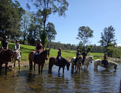 Group of horse riders